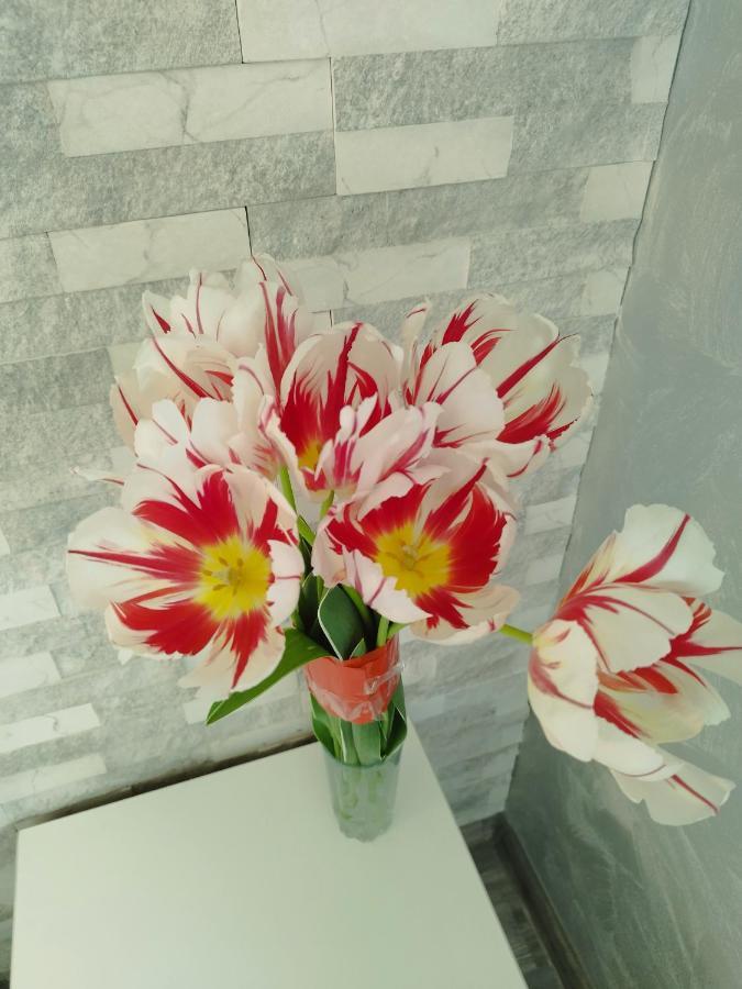 Aпартамент 5 * Варна